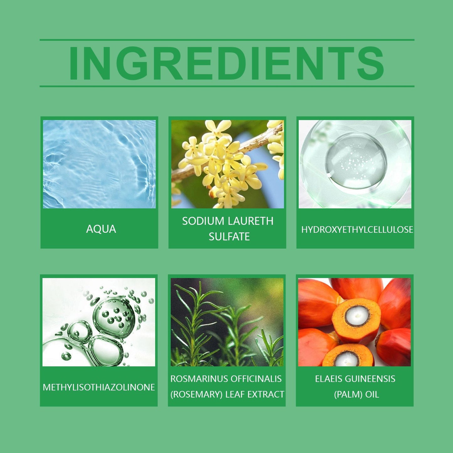 🧴Batana Oil Shampoo with Rosemary Extract