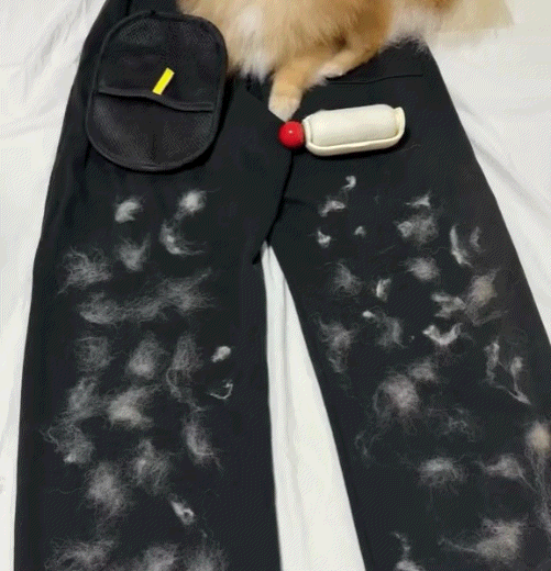 Buy 1 Get 1 Freeš„Electrostatic Pet Hair Removal Grooming Gloves