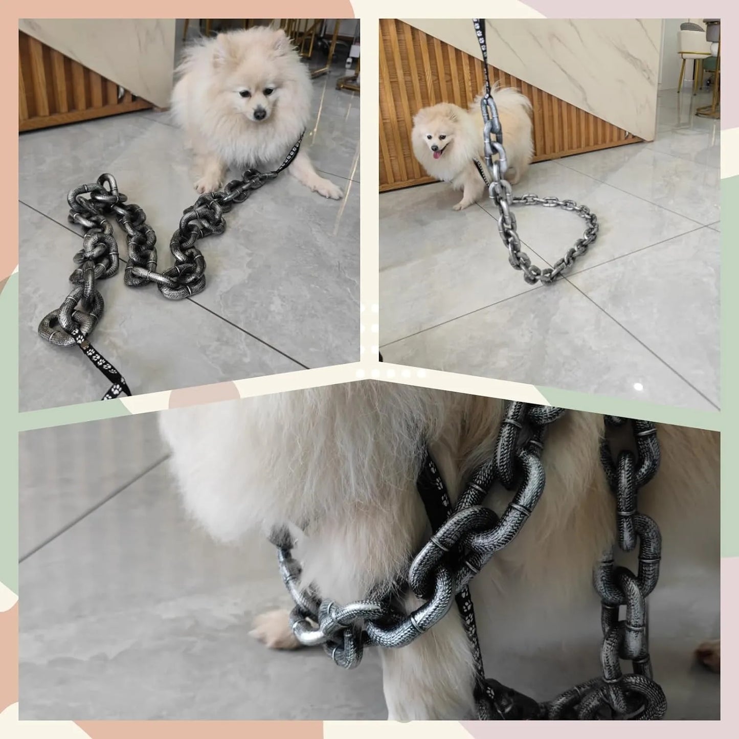 🐶The Chain Paws - 2026 Funniest Pet Chain🔒