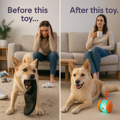 Pet Toy Wheels With Rope – Keep Your Pet Relaxed, Happy & Content for Cat🐱 & Dog🐶