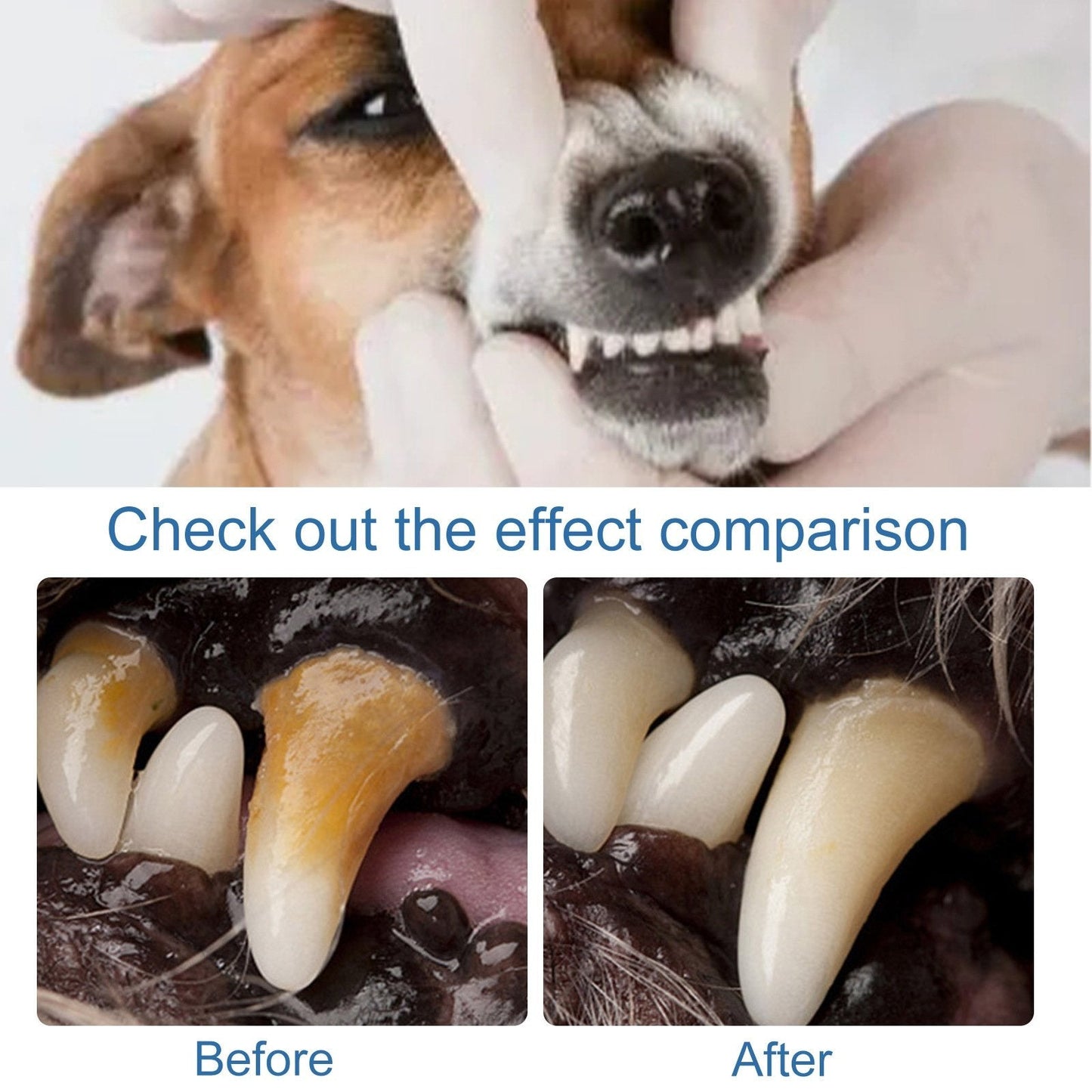 🐶🦷 Pet Oral Care Foam – Removes Odors & Promotes Healthy Teeth and Gums 🪥