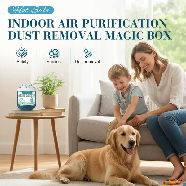🔥 2026 New Collection – Limited-Time Offer ⏰ Indoor Air Purification Dust Removal Magic Box