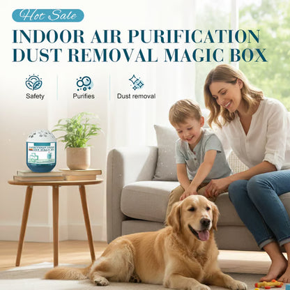 🔥 2026 New Collection – Limited-Time Offer ⏰ Indoor Air Purification Dust Removal Magic Box