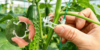 🌱 🍅 Plant Support Clips – Easy Vine Training & Secure Plant Growth