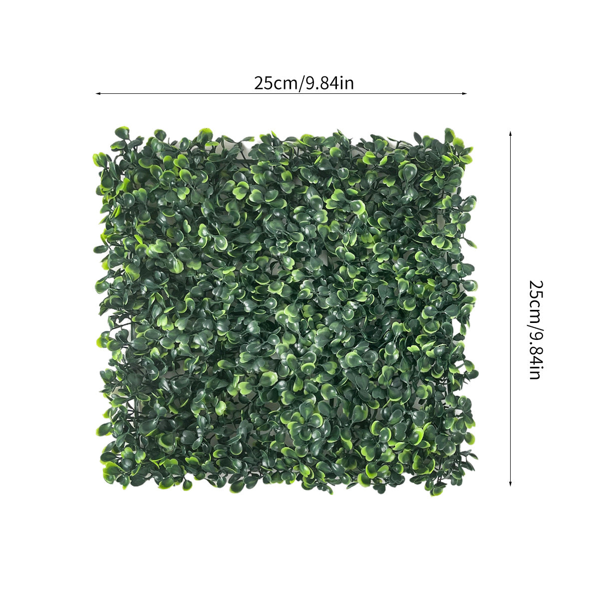 🌿🌿🌿 Deluxe (Extra Dense)🔥