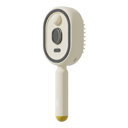 ✨Electric Spray Airbag Massage Comb