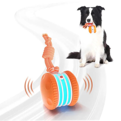 Pet Toy Wheels With Rope – Keep Your Pet Relaxed, Happy & Content for Cat🐱 & Dog🐶