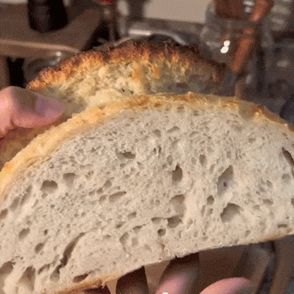 ✨ Best-Selling🥖 Bread Baking Starter Kit — Everything You Need to Begin