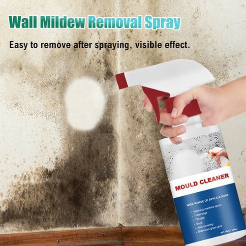🔥Last Day Sale - Mildew Cleaner Foam🦠