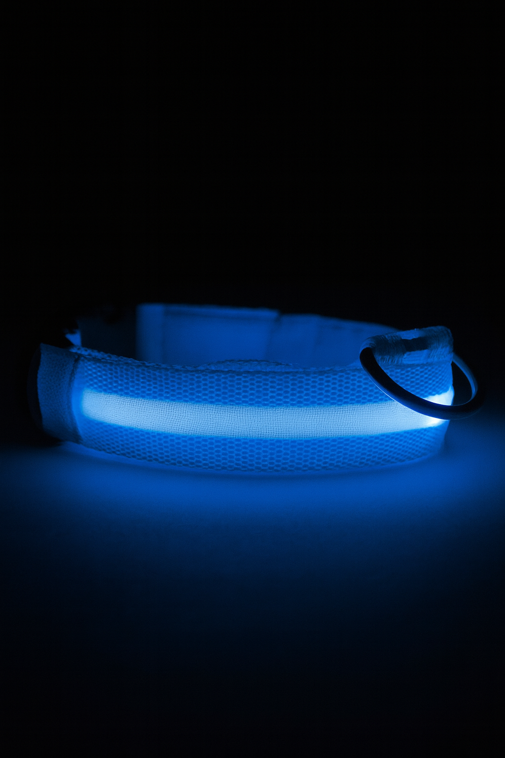 🔥LED Glowing Dog Collar🐾
