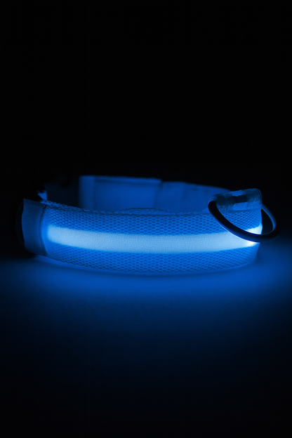 🔥LED Glowing Dog Collar🐾