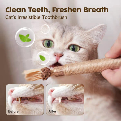 🐱🦷 Natural Silvervine Cat Toy –  Play, Relax & Dental Cleaning