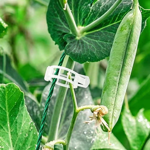 🌱 🍅 Plant Support Clips – Easy Vine Training & Secure Plant Growth