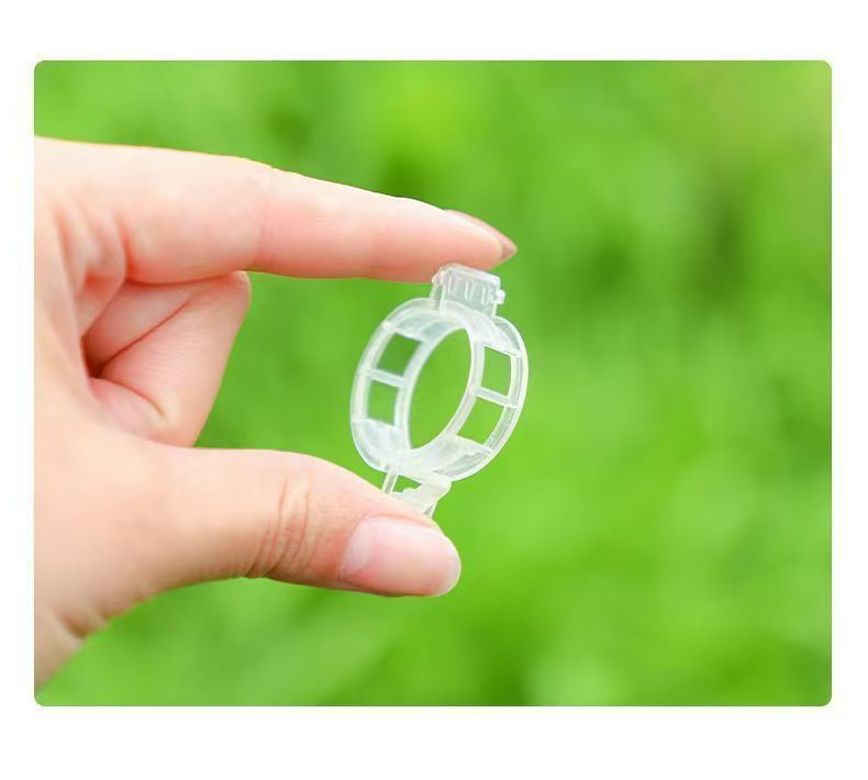 🌱 🍅 Plant Support Clips – Easy Vine Training & Secure Plant Growth