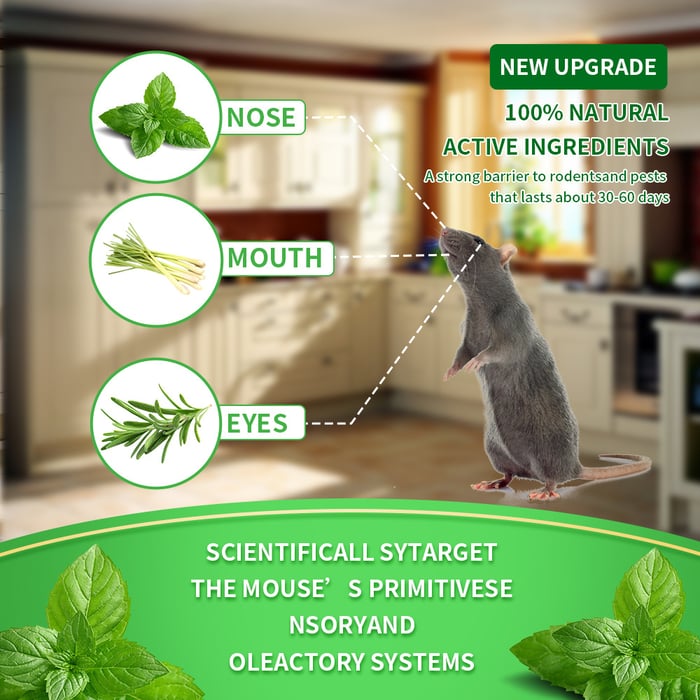 🌿 12-Pack Natural Peppermint Oil Rodent Repellent – Safe, Fresh & Easy to Use