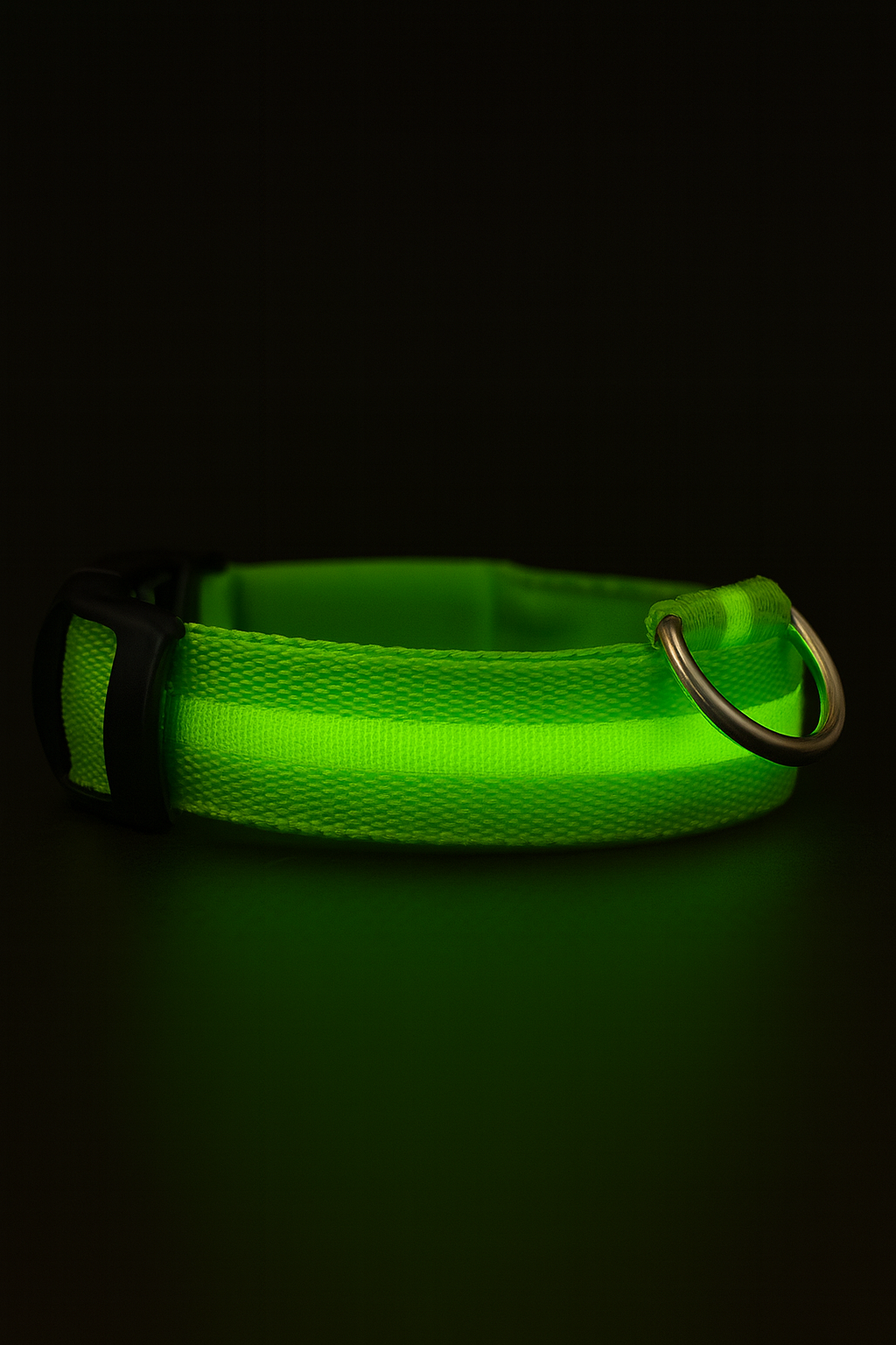 🔥LED Glowing Dog Collar🐾