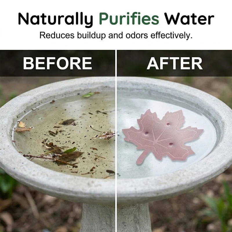 Before and after view of bird bath water with copper maple leaf purifier