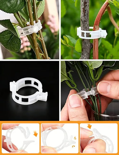 🌱 🍅 Plant Support Clips – Easy Vine Training & Secure Plant Growth