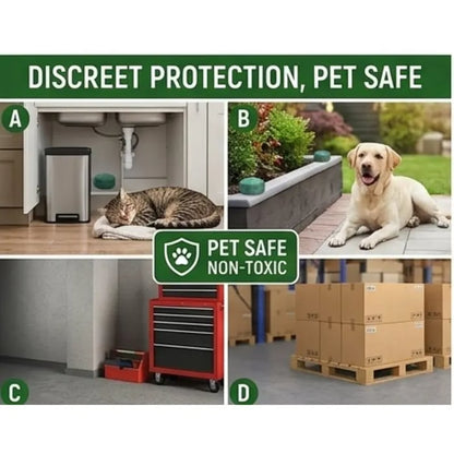🌿 12-Pack Natural Peppermint Oil Rodent Repellent – Safe, Fresh & Easy to Use