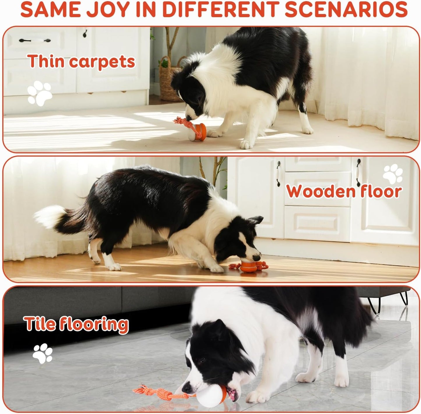 Pet Toy Wheels With Rope – Keep Your Pet Relaxed, Happy & Content for Cat🐱 & Dog🐶