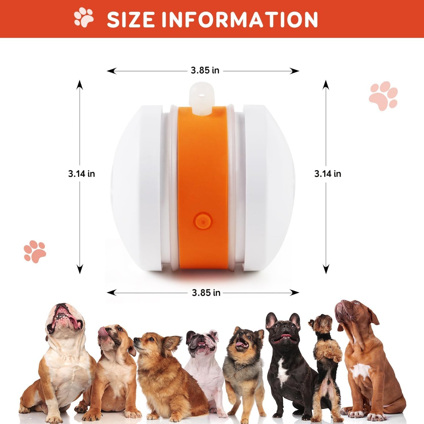Pet Toy Wheels With Rope – Keep Your Pet Relaxed, Happy & Content for Cat🐱 & Dog🐶