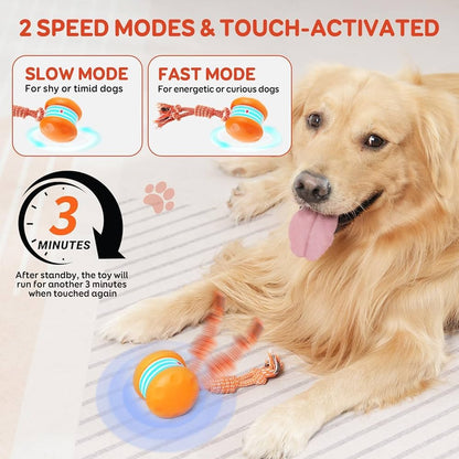 Pet Toy Wheels With Rope – Keep Your Pet Relaxed, Happy & Content for Cat🐱 & Dog🐶