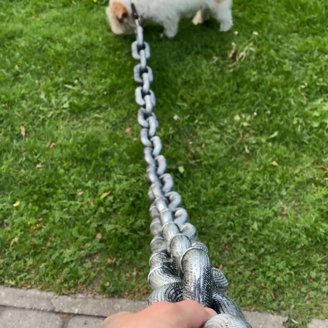 🐶The Chain Paws - 2026 Funniest Pet Chain🔒