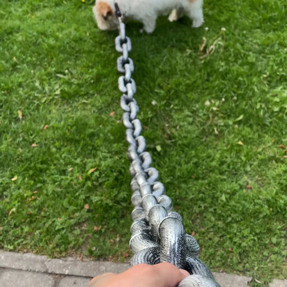 🐶The Chain Paws - 2026 Funniest Pet Chain🔒