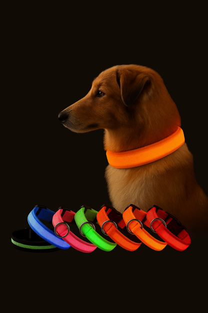 🔥LED Glowing Dog Collar🐾