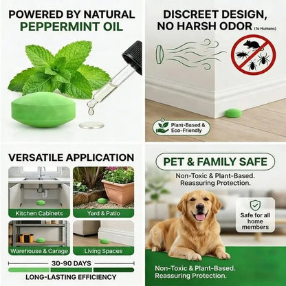🌿 12-Pack Natural Peppermint Oil Rodent Repellent – Safe, Fresh & Easy to Use