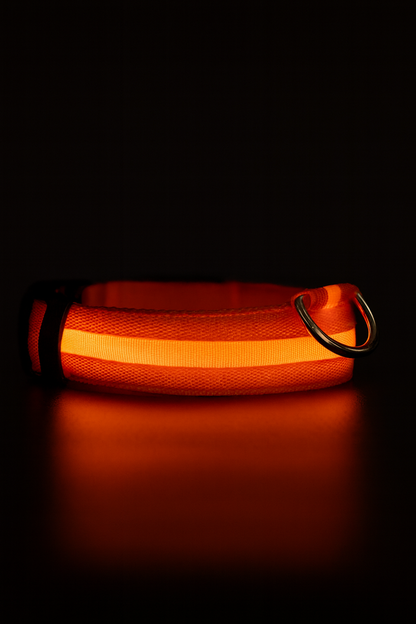 🔥LED Glowing Dog Collar🐾