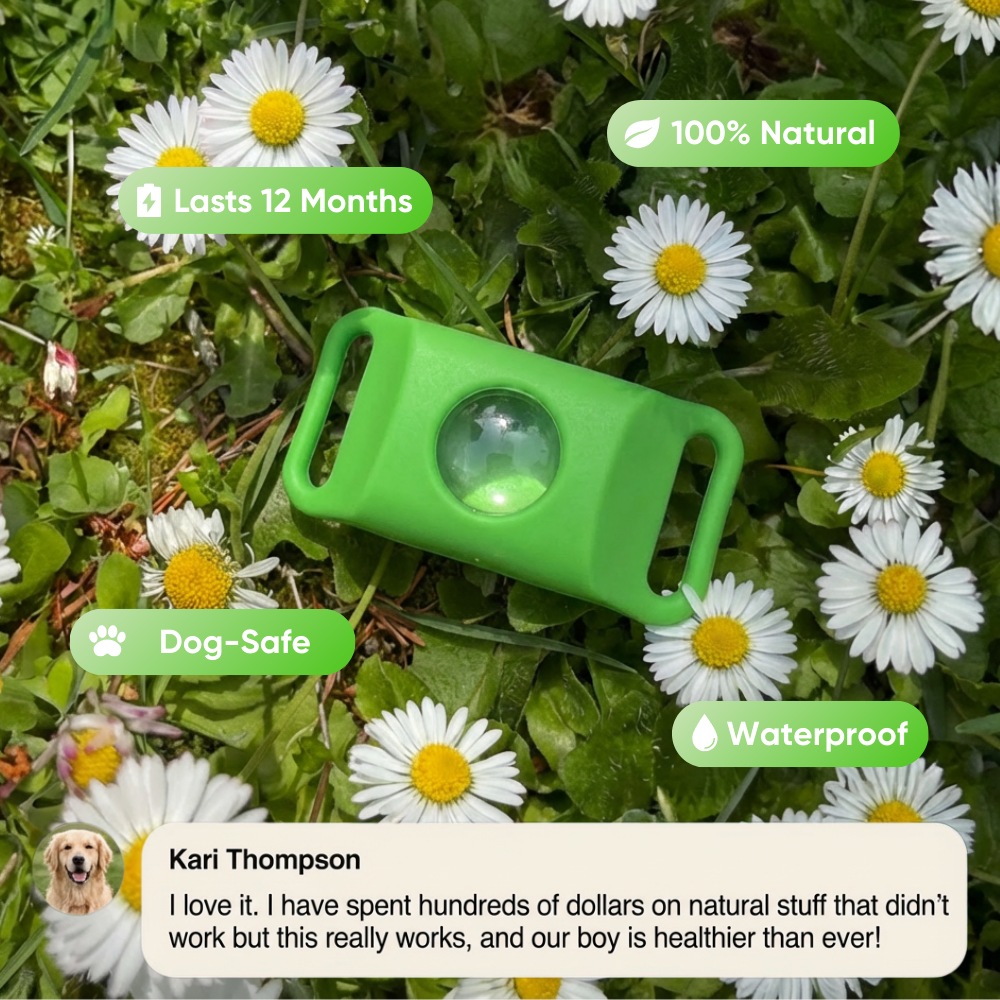 🔥Season Hot Sell! 🐾 Summer Essential Natural Flea & Tick Pendant for Dogs & Cats