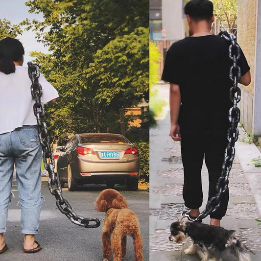 🐶The Chain Paws - 2026 Funniest Pet Chain🔒