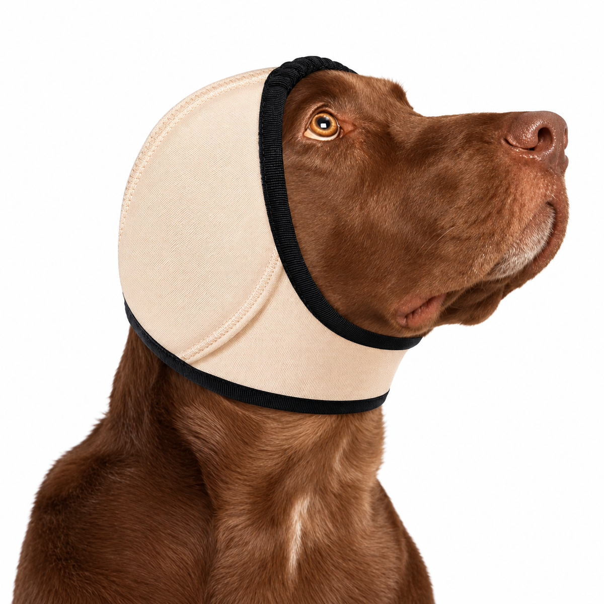 Noise Cancelling Dog Ear Wrap