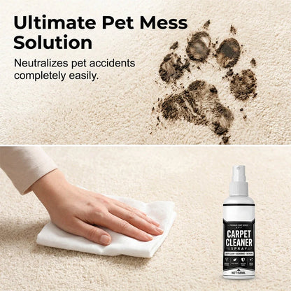 🏠 Deep Cleaning Carpet Cleaner Spray ✨