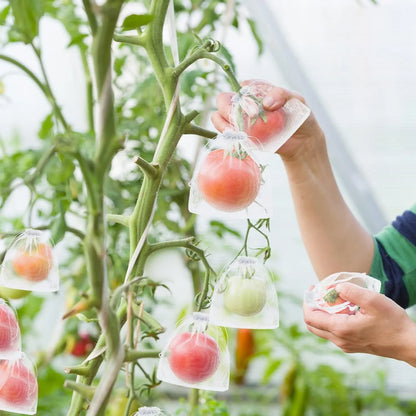 🔥Last Day 40%Off ✨Reusable Fruit Protection Bags🌿