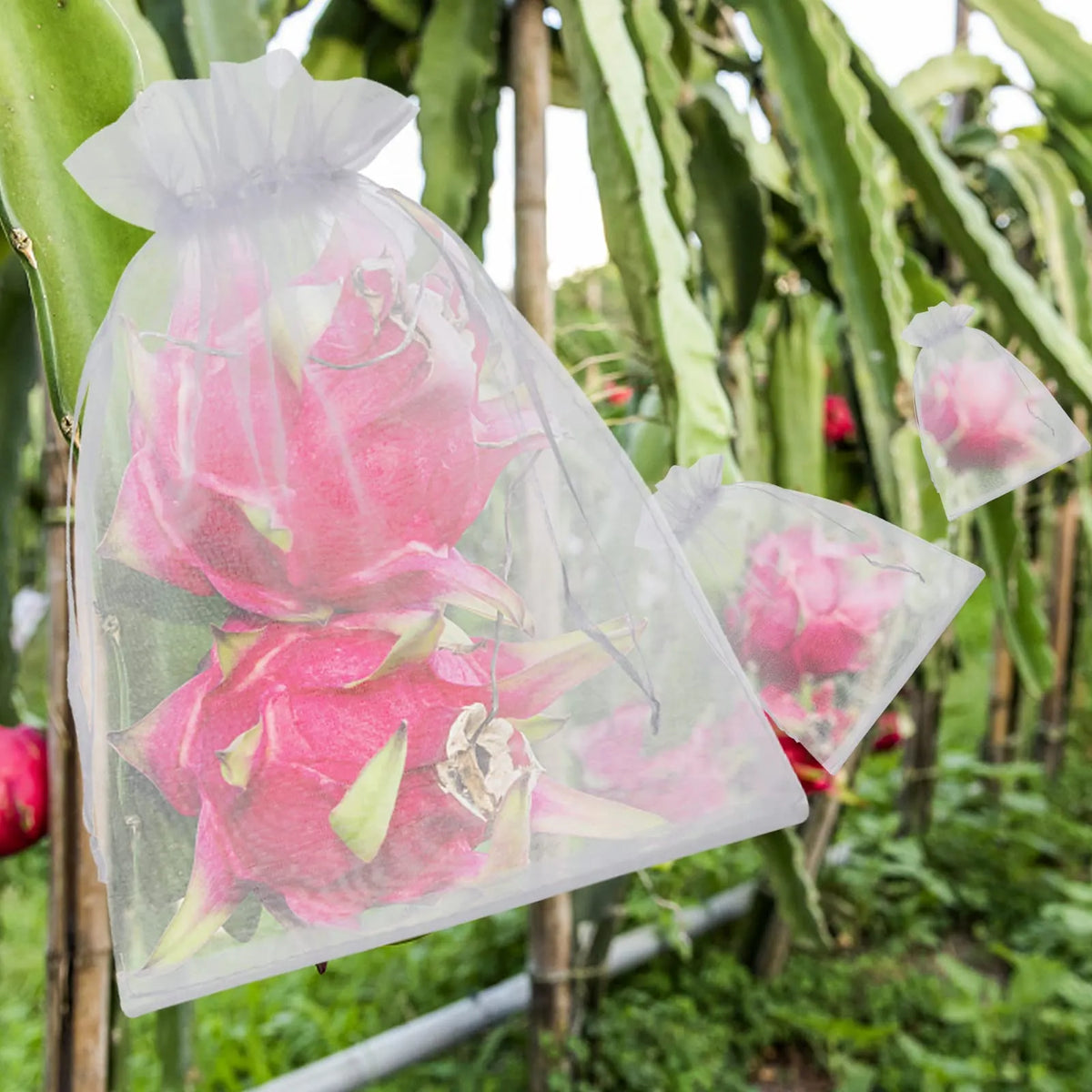 🔥Last Day 40%Off ✨Reusable Fruit Protection Bags🌿