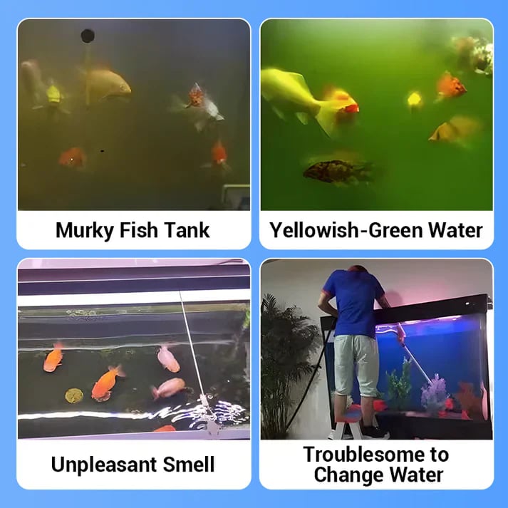 🥳2026 HOT SALE🐠💧 Fish Tank Purification Tablets – Clears Cloudy Water & Reduces Algae Fast