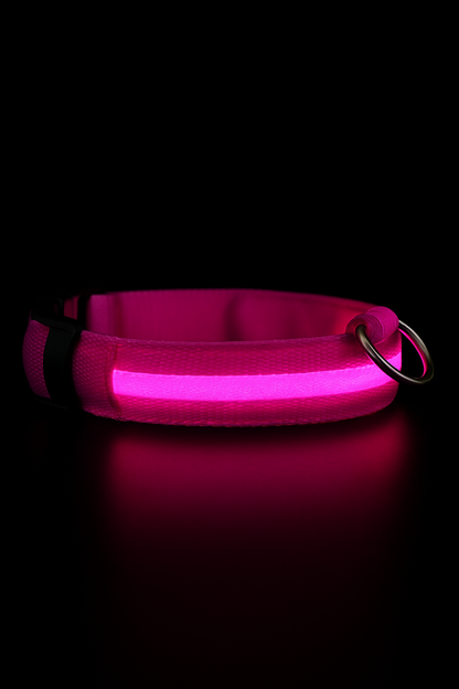🔥LED Glowing Dog Collar🐾