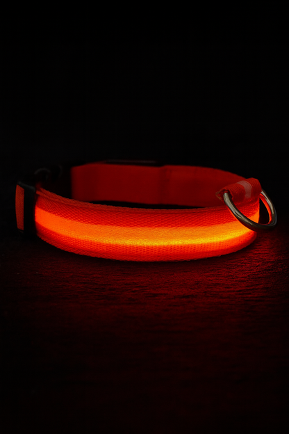 🔥LED Glowing Dog Collar🐾