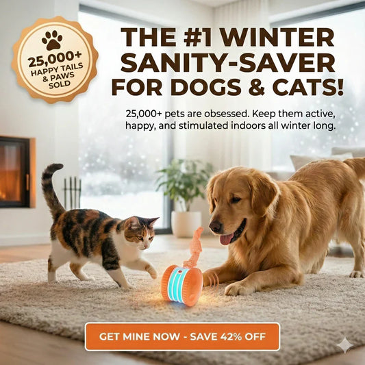 Pet Toy Wheels With Rope – Keep Your Pet Relaxed, Happy & Content for Cat🐱 & Dog🐶