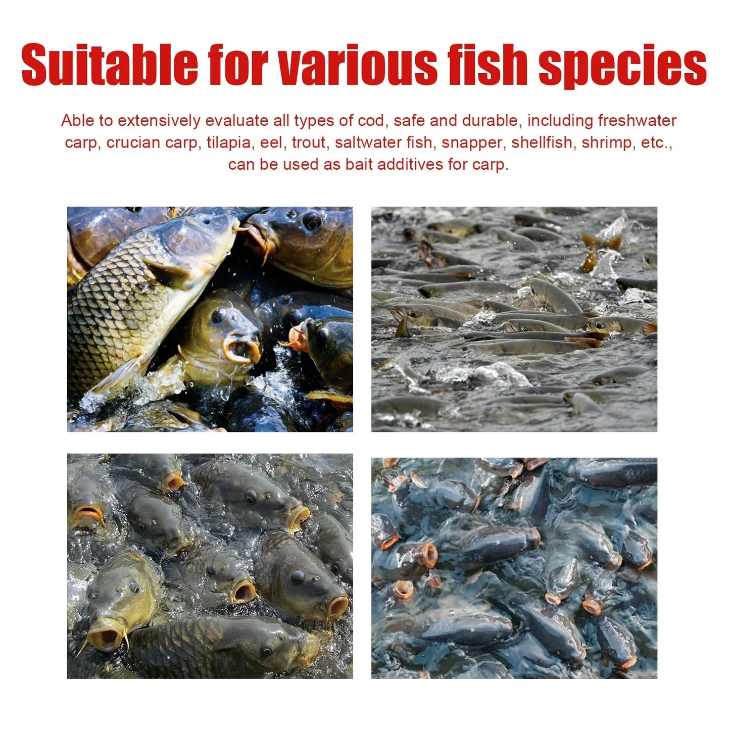 🔥 Angler's Secret 🎣Concentrated Red Worm Fishing Attractant – Draw More Fish, Faster Bites