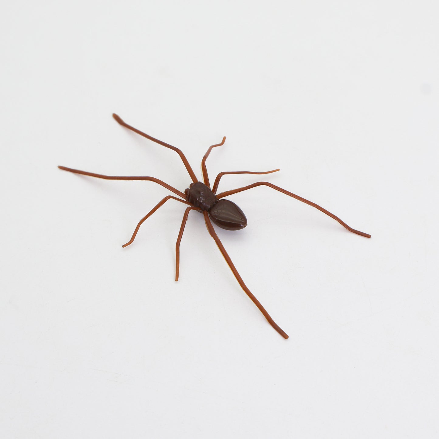 Spider Fridge Magnet🎁Realistic Spider Magnets, for Refrigerator, Garage Door, or Car