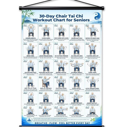 🔥Tai Chi Chair Workout Chart for Seniors (16 x 24 inches)