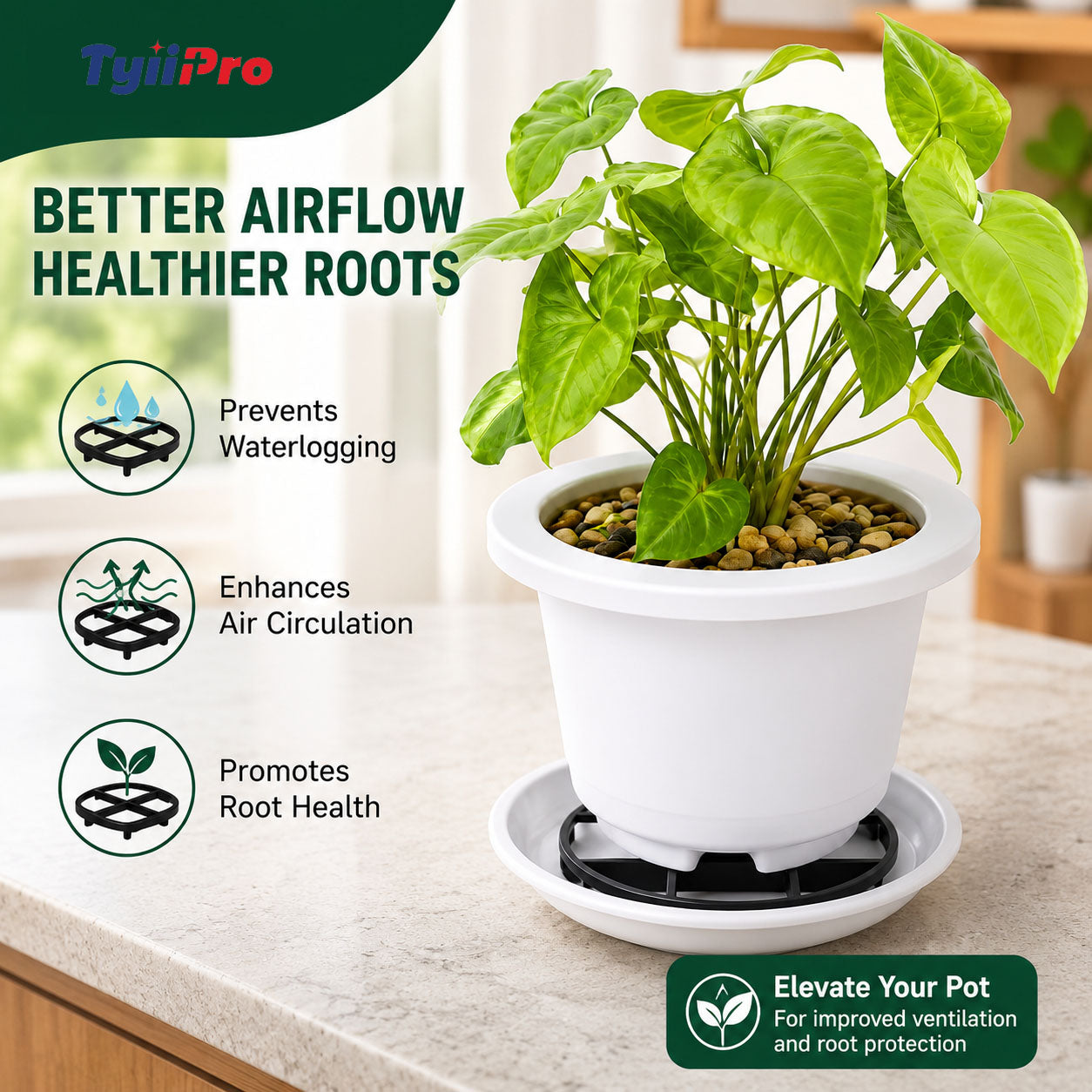 Plant Pot Riser Stand for Better Drainage & Healthy Roots
