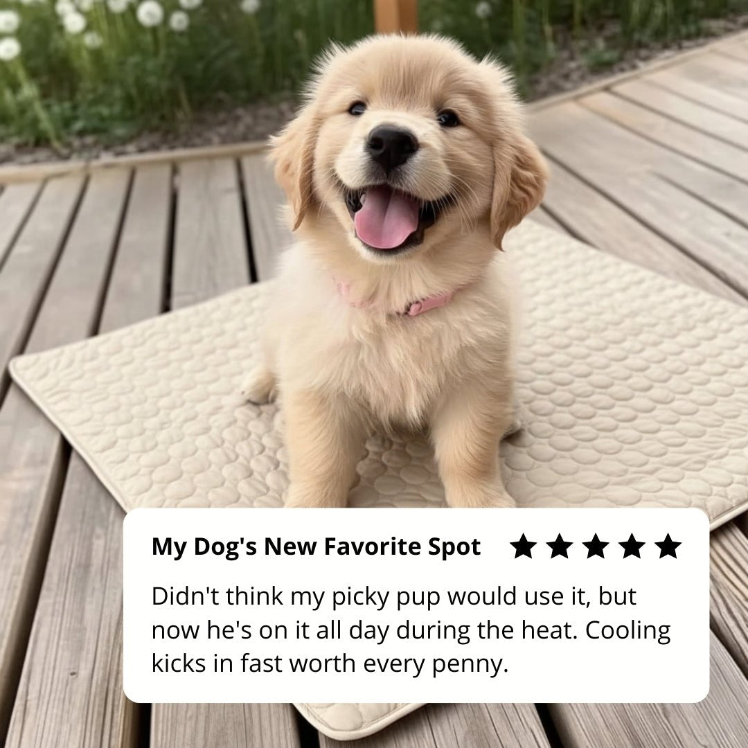 Cooling Dog Mat