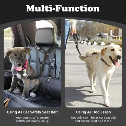 2-Pack Dog Travel Safety Belts