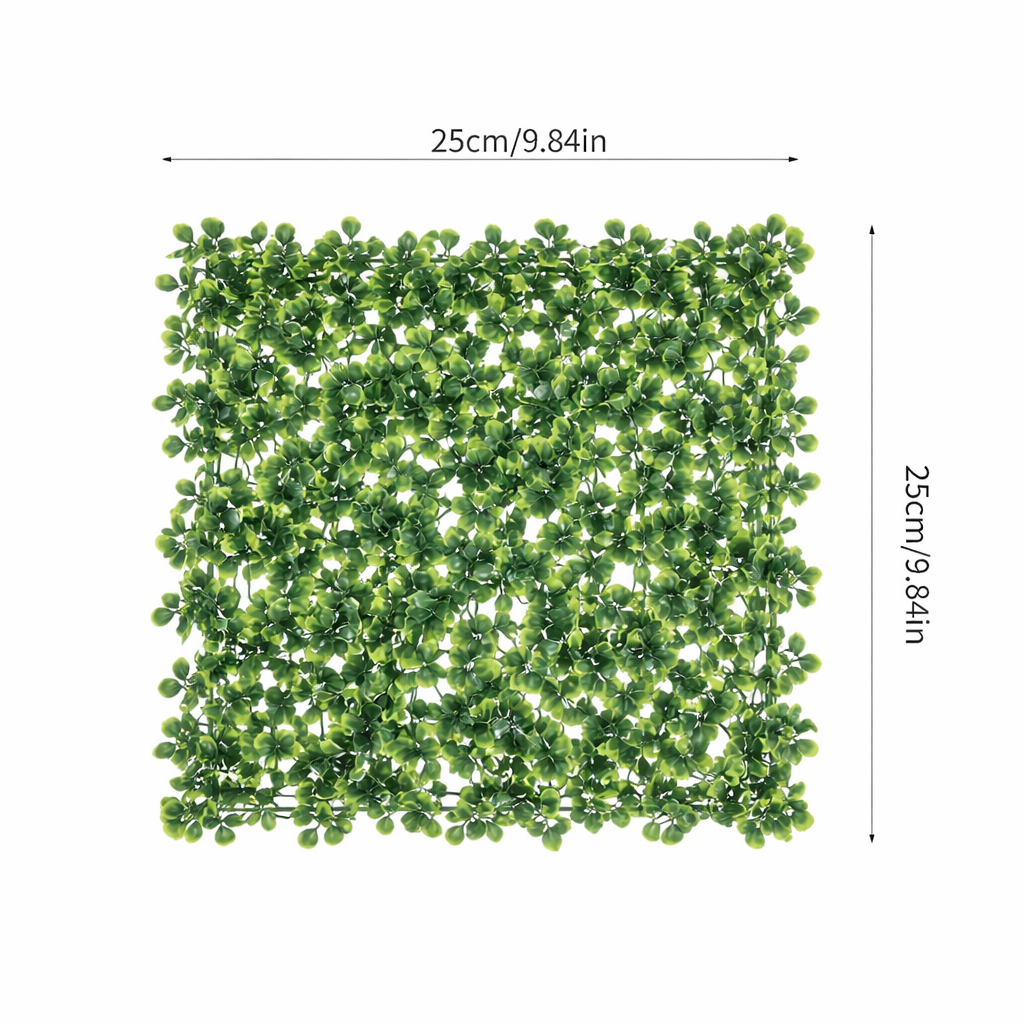 🌿 Basic (Single Layer)