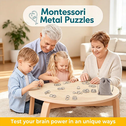 🎁 Metal Montessori Puzzle Solving