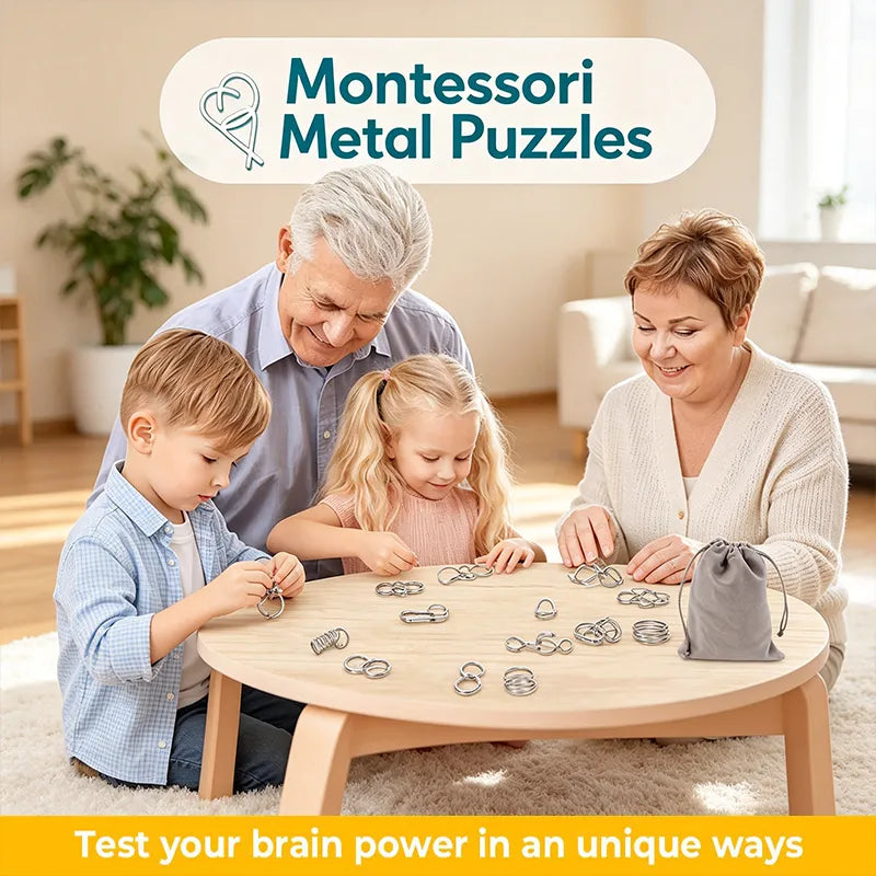 The Best Christmas Gift🎁 Metal Montessori Puzzle Solving
